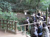 八重垣神社鏡の池の様子