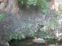滝神社の瀧水