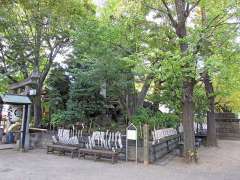 浅間神社と境内浅間塚