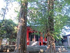 高野山香取神社社殿