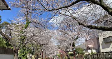 中山法華経寺
