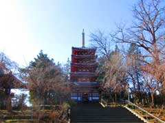 本土寺五重塔