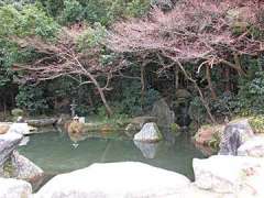 速谷神社神池