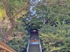 三田八幡神社社殿