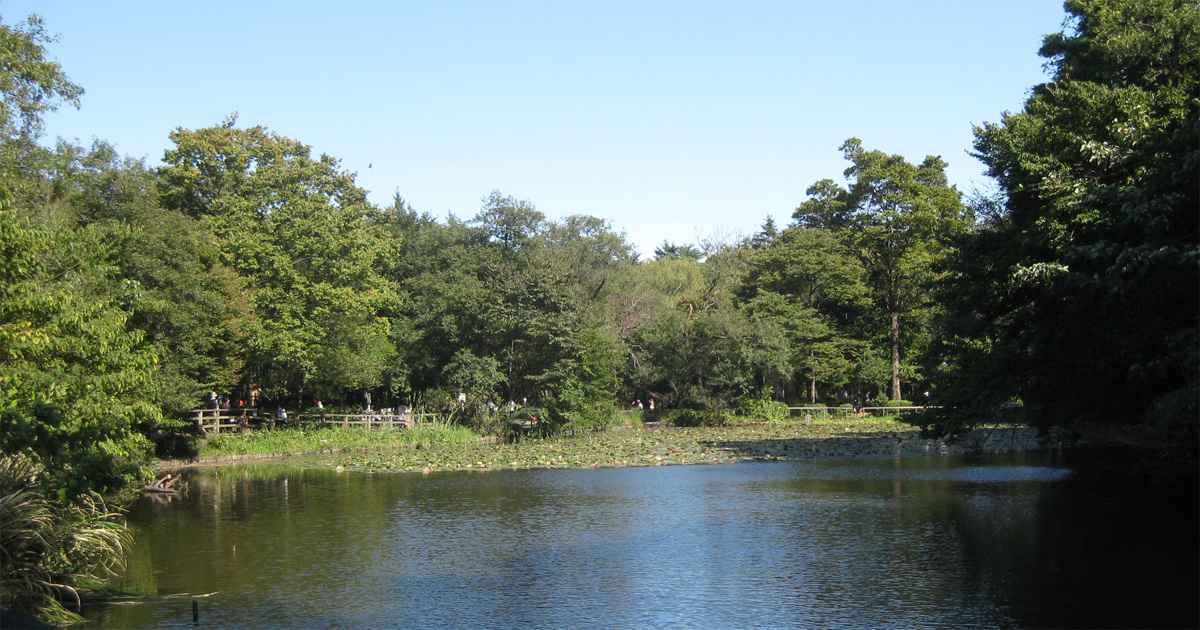 練馬区の名所旧跡