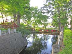 西島瀧宮神社境内池