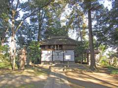 鴻巣野宮神社社殿