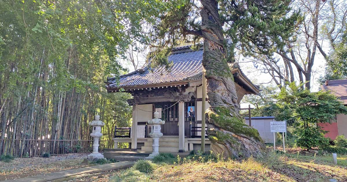 石上神社。坂戸市北大塚の神社