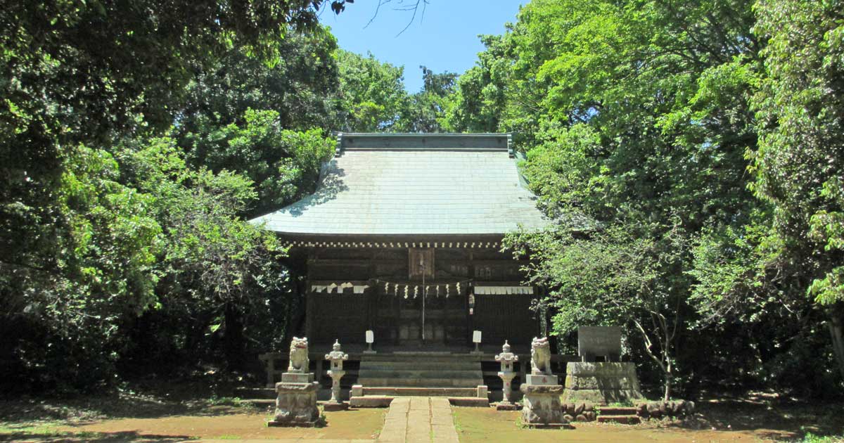 大海物語 真作/松歳/八幡鳩図/松に鳩図/鳥図/八幡神社/八幡神使/名家 ...