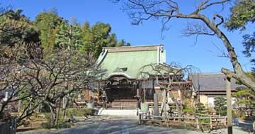 梅林も著名な杉田妙法寺